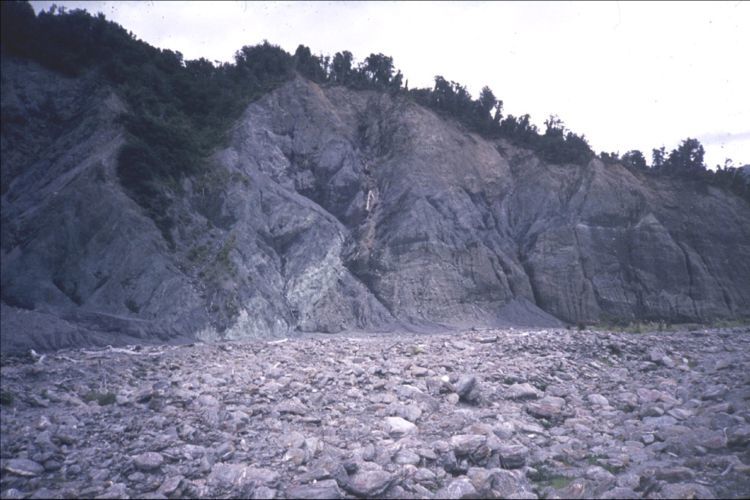 Cliff face near Gaunt Creek, Westland -Alpine Fault hanging wall