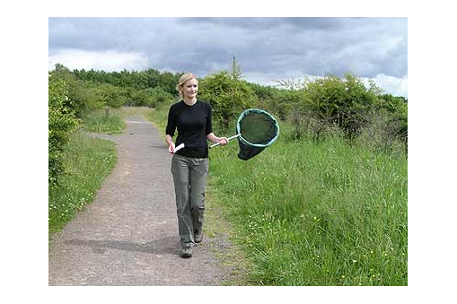  transect walkers collect valuable data, woman walking in path