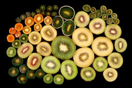 Wide range of different kiwifruit varieties sliced.
