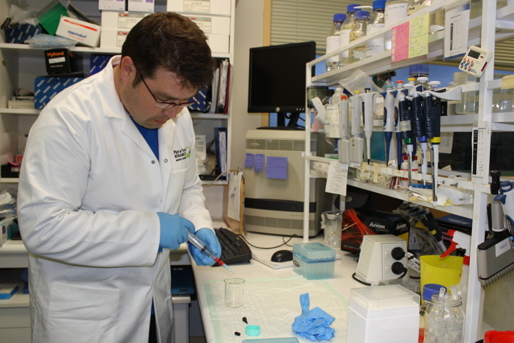 Dr Sean Bulley working in the lab.
