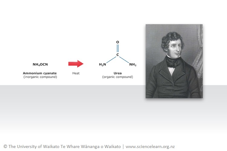Photo of Friedrich Wöhler with urea synthesis formula.