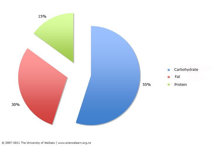 Pie chart of percentage macronutrients in a well balanced diet
