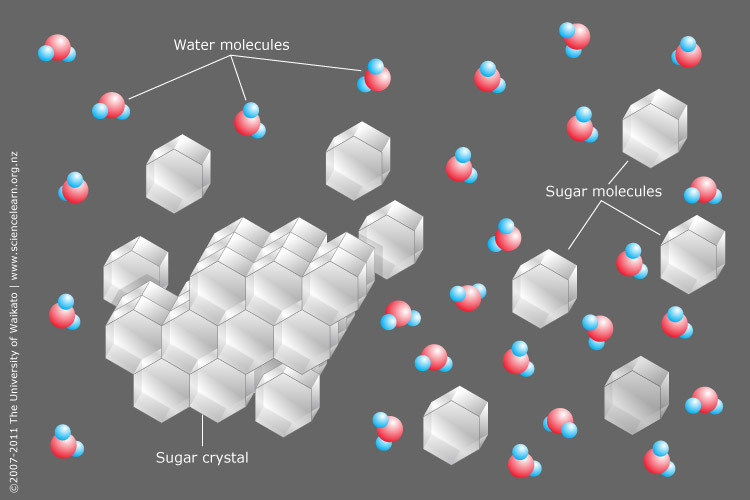 Diagram showing sugar dissolving in water.