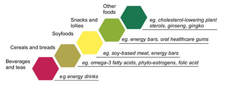 Functional foods diagram.