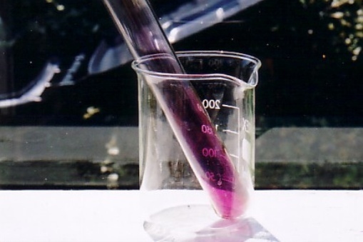 Tube of iodine in a beaker showing purple color of its vapor