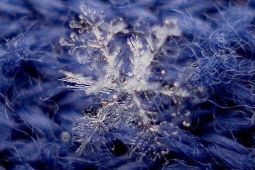 Magnified view of a snowflake.