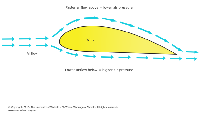Wings And Lift Science Learning Hub