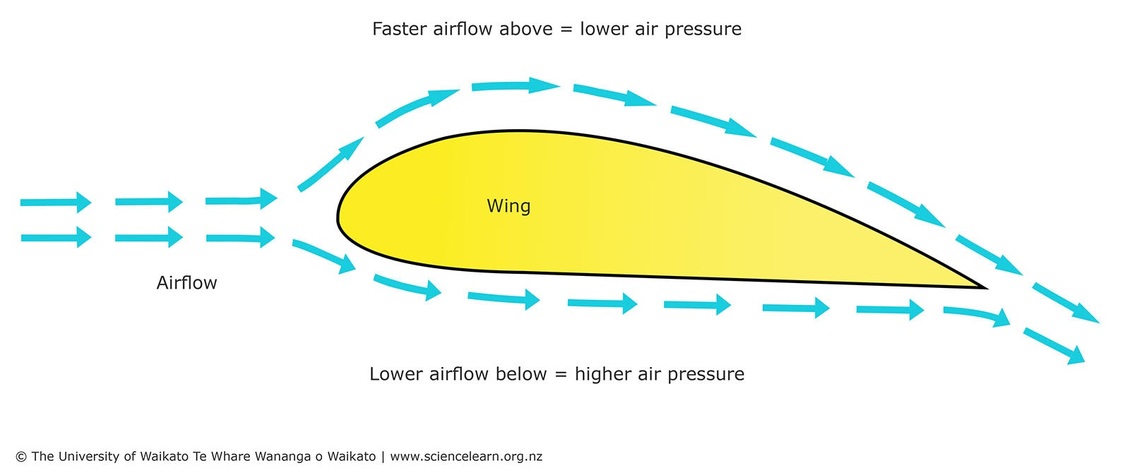 Diagram of airflow around a wing: shows the Bernoulli Principle.