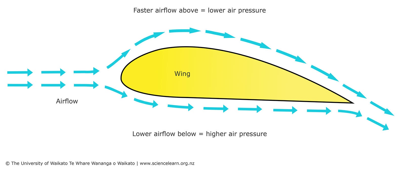 Bernoullis principle
