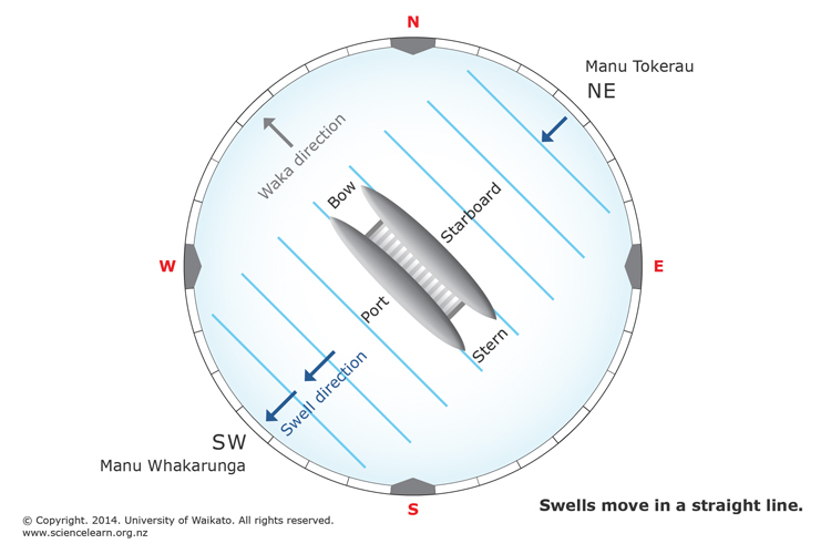 Diagram explaining how navigators can orientate waka to swells