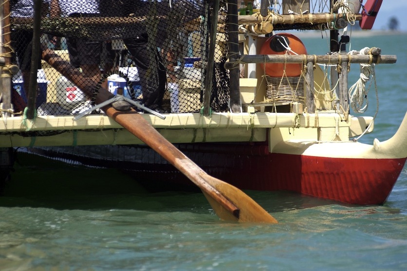 Hoe tere (steering paddle) of Te Aurere waka (boat).