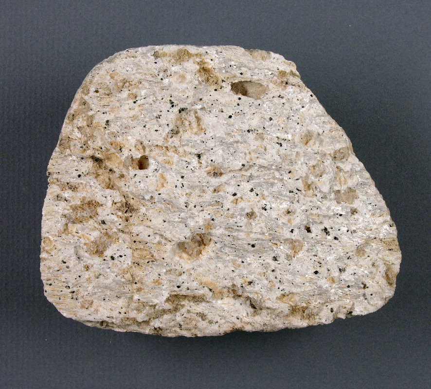 Pumice, a rhyolite rock.
