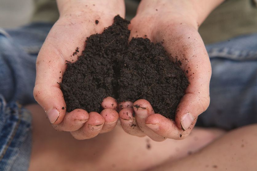 close up of of a pair of hands holding some dark soil.