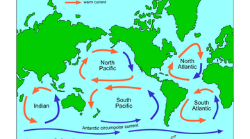 Map Of Ocean Currents Map Of Ocean Gyres — Science Learning Hub