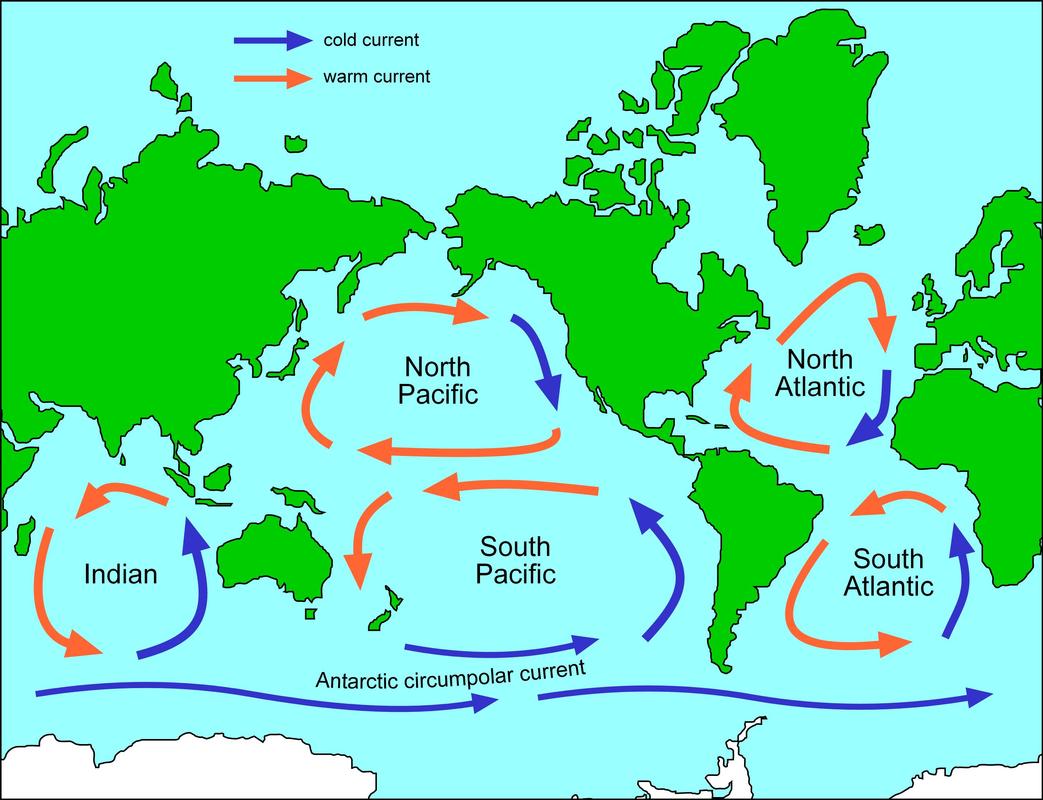 Map of the 5 main oceans with large-scale pattern of currents