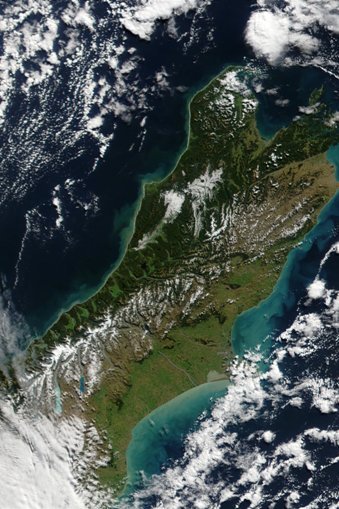 Satellite image of a plankton/algal bloom around New Zealand.