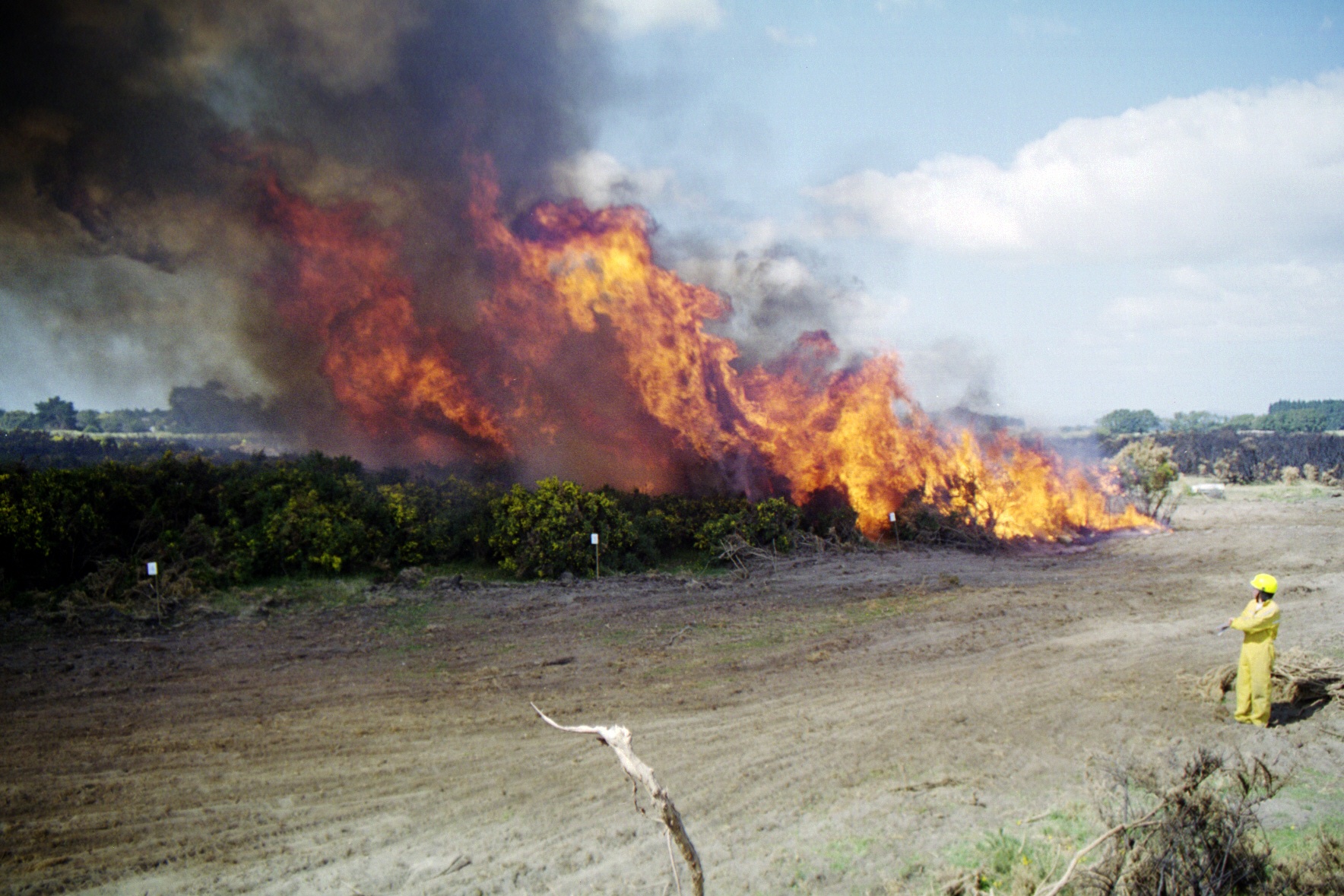 Burning man («горящий человек») – блэк-рок, невада. Фигура в огне. Огненный торнадо калифорния. Жонглер на огненном оазисе. Фестиваль в пустыне невада.