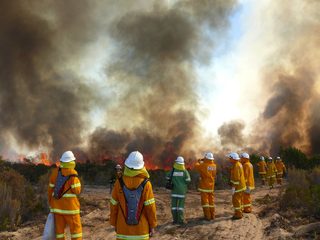 Group of fire fighters observing a smokey wildfire. 