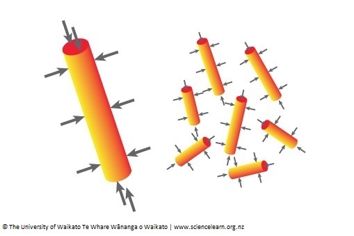 Diagram showing differences in surface area. 