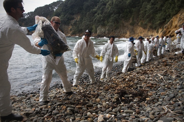 Volunteers work to clean up oil on Mōtītī Island’ from the Rena 