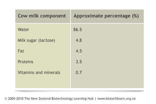 Table showing the components in cows’ milk. 