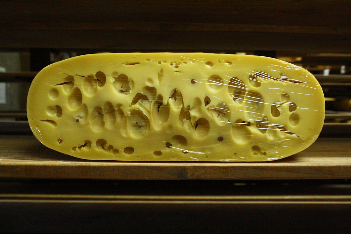Halved Meyer Gouda Cheese’s Maasdam cheese on a shelf.