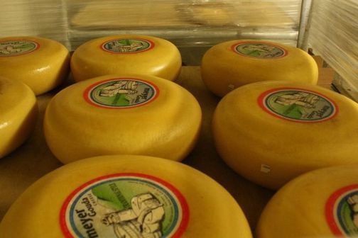 Lots of round wax covered Gouda cheese from Meyer