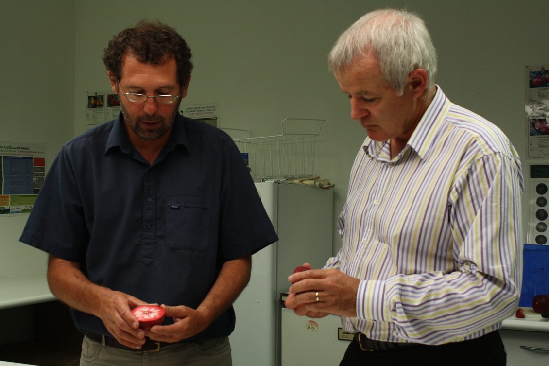 Two male Scientists discuss attributes of the red-fleshed apple