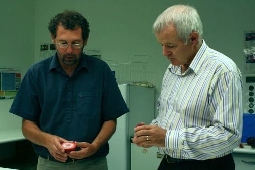 Two male Scientists discuss attributes of the red-fleshed apple