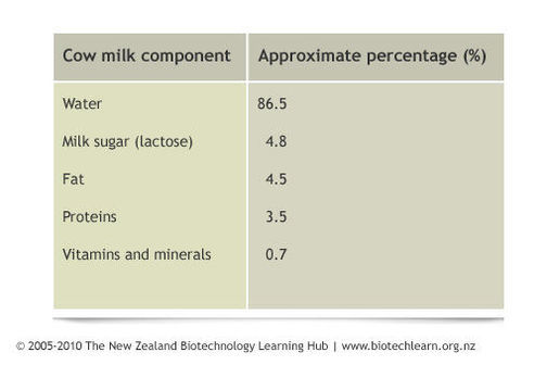 A table showing the components in cow’s milk. 