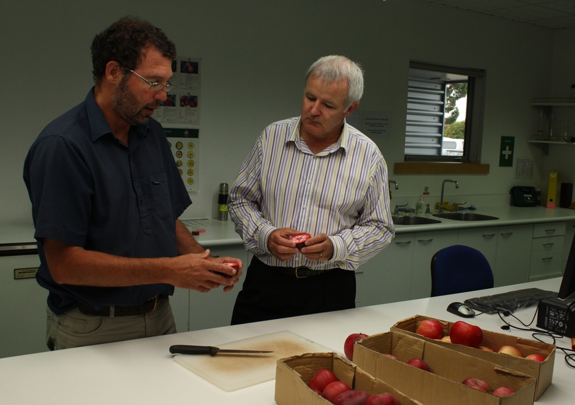 Two scientists testing a new red-fleshed apple cultivar.