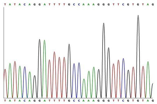 sequencing the apple genome science
