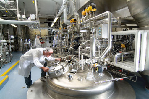 Work and large vat in a Therapeutic protein production facility.