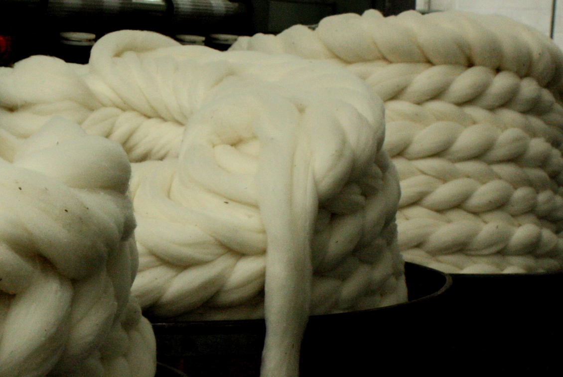 Close up of wool ready for spinning.