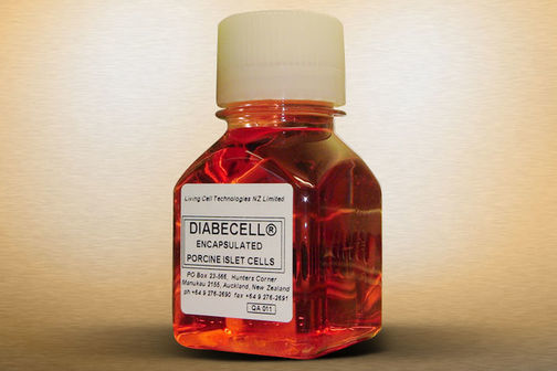 Bottle of DIABECELL® type 1 diabetes medication.