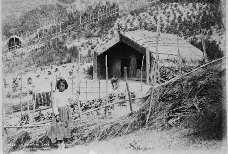 Young girl standing by Te Ariki Pā vegetable garden, 1880s.