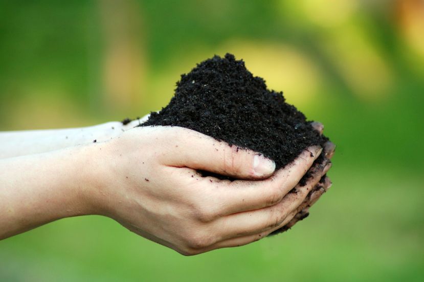 Pair of hands holding a mound of dark soil.