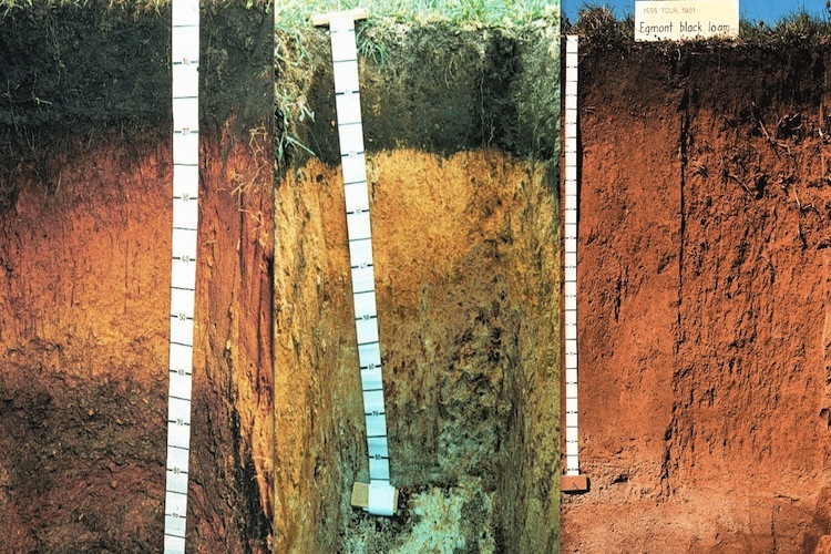 These three soils with different colour and mineral content