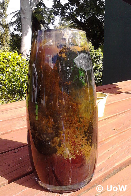 Soil microbe habitat in a glass container.
