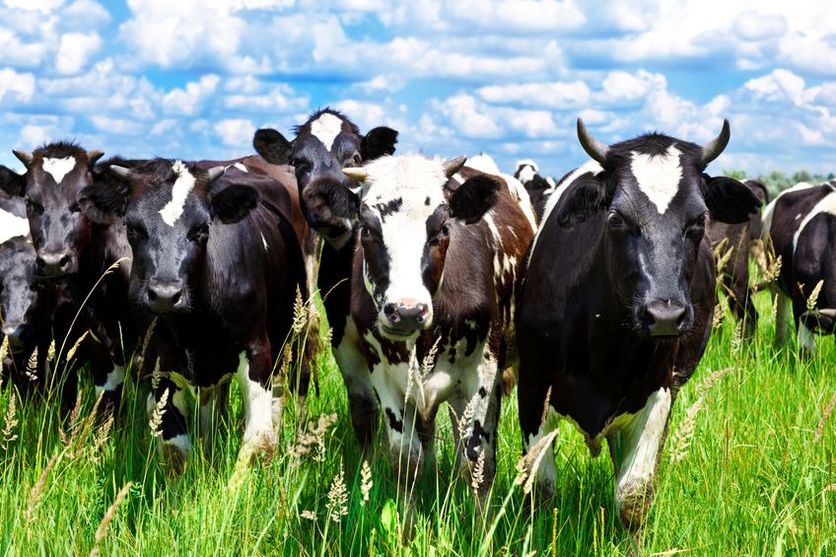 Farming And Environmental Pollution Science Learning Hub The best answer is b. farming and environmental pollution