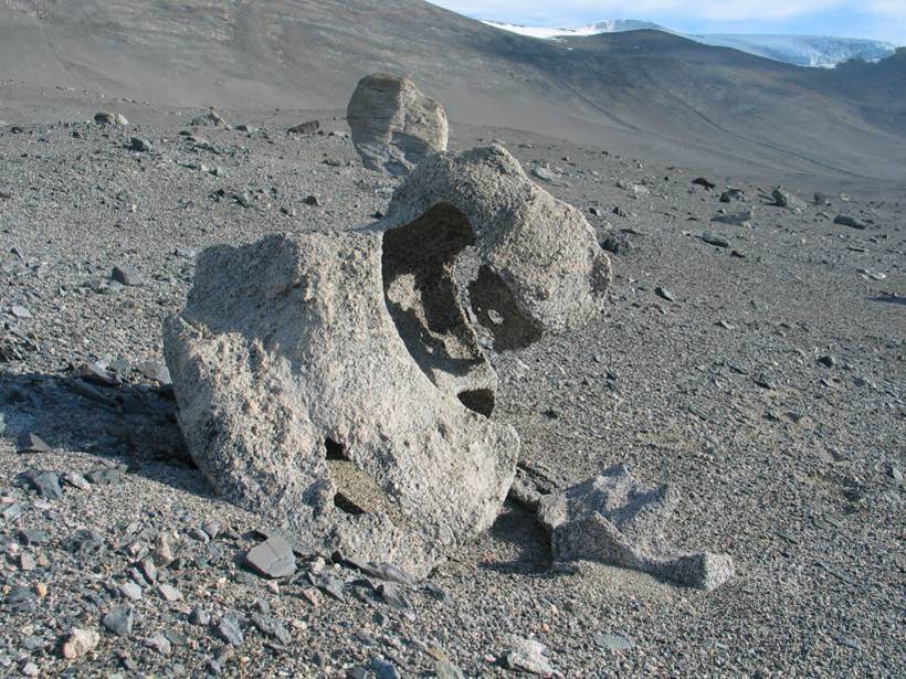 The Dry Valley in the Antarctic summer.