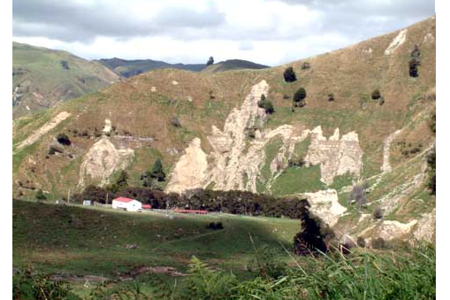 Landslides on a steep, mudstone slope north of Whanganui, NZ.