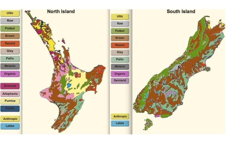 Map displaying New Zealand’s soil orders.