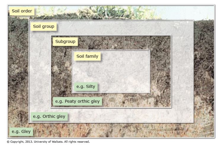 New Zealand Soil Classification System inforgraphic.