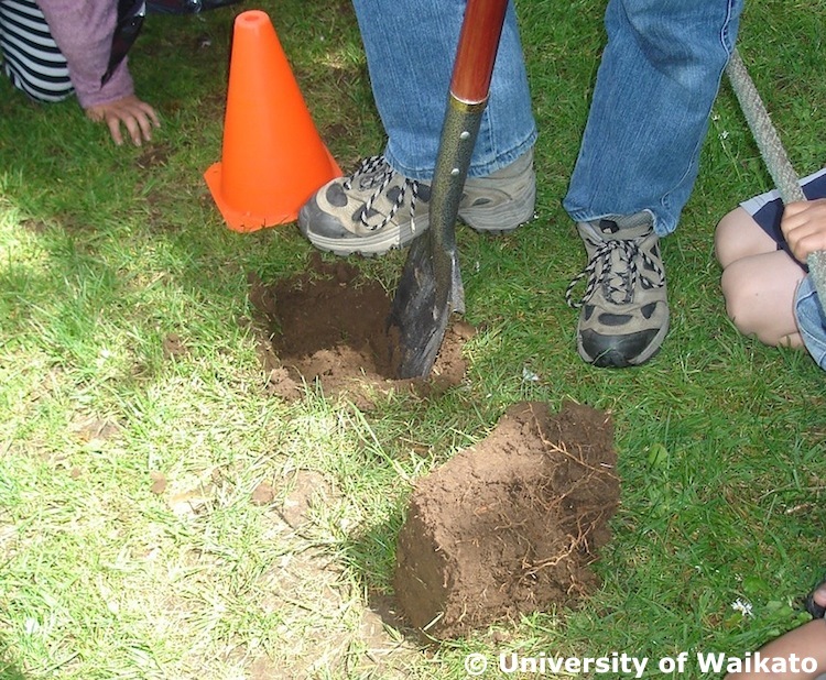 Digging — Science Learning Hub