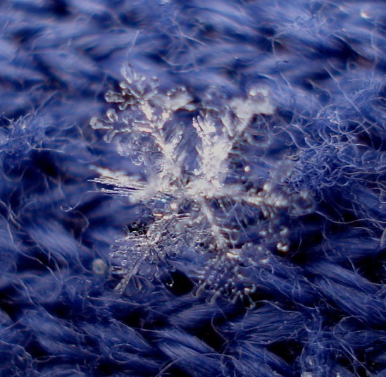 Magnified view of a snowflake.