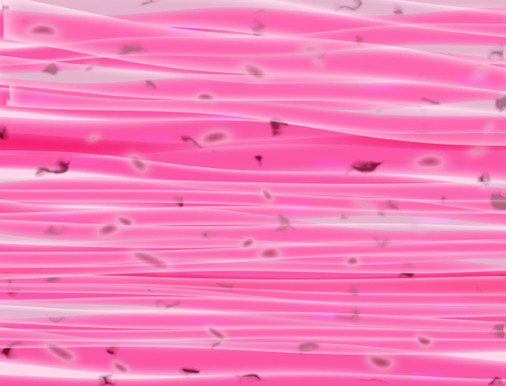 Pink Muscle tissue that makes up the heart microscopic view