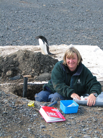 Dr Megan Balks in a hole, investigates the Antarctic environment