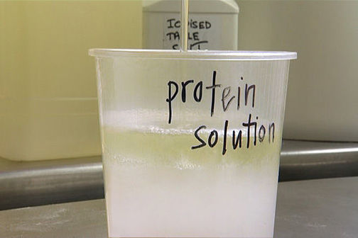Fish oil and protein mixture layers in a cup.