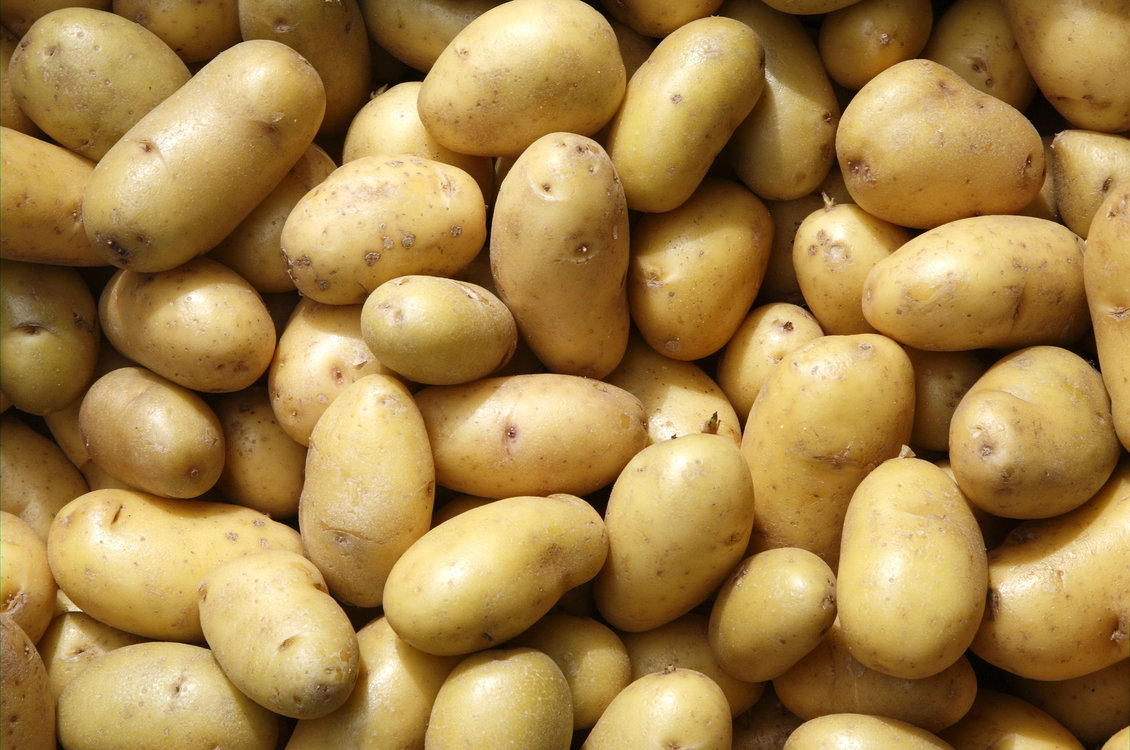 A pile of new potatoes.